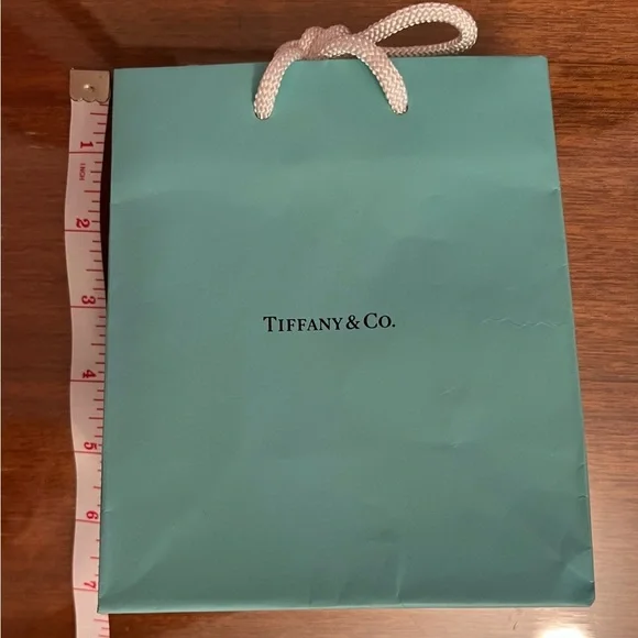 Coach, Chanel, and Louis Vuitton, Tiffany and Goyard Dust Bags! - Picture 8 of 16